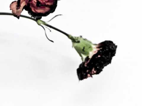 The Beginning (Audio) - YouTube