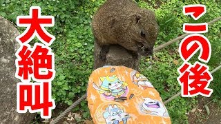 リスに向けて手を出した結果。
