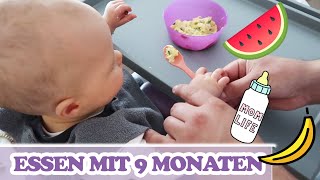 Wir kochen einen Babybrei für Frühstück, Nachmittagsbrei und Abendbrei | Das musst du wissen