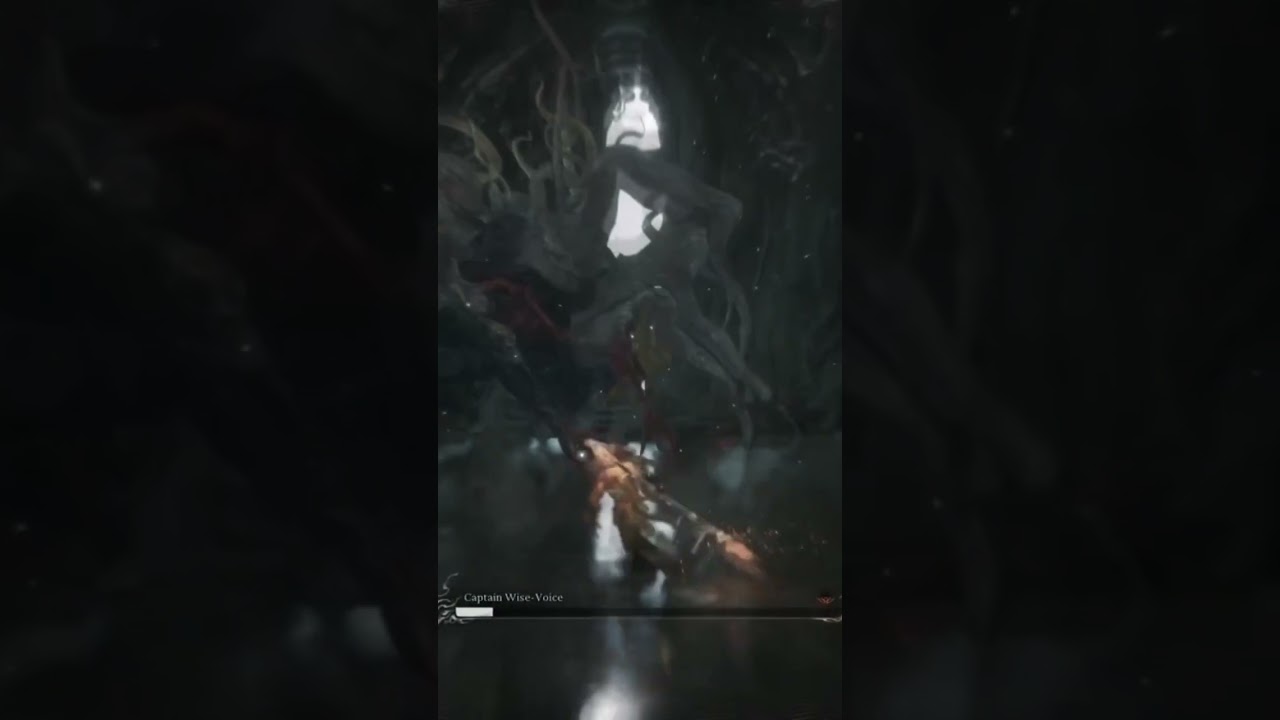 Black Myth fight against captain wise voice… 