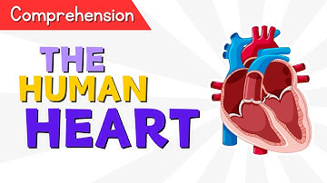 Kids Educational Videos | Kindergarten and Elementary ENGLISH | SCIENCE | Human HEART Comprehension