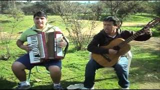 Miniatura del video "Mándame quitar la vida, cueca en acordeón y guitarra Fabián y Cristian Ahumada"