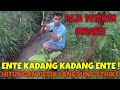 bang wahyu beraksi mancing di selokan strike terus ga pake lama langsung dapat jackpot lele lokal
