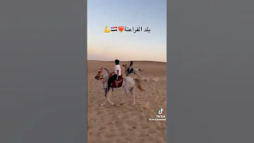 تحيه لابن خالتي الجاجور من ارض الفراعنه حالات واتس Tiktok حالات واتس 