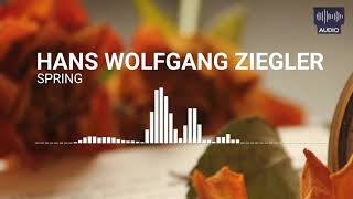 Hans Wolfgang Ziegler Spring Audiolizer