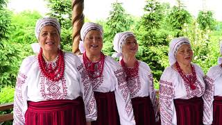 картинка: 