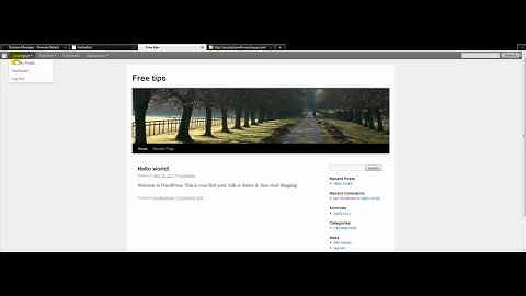 Quick wordpress Blog Setup/Flexibility theme 3