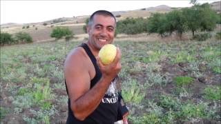 Mazgirt Ismailli Köyü