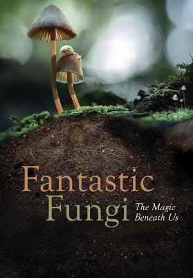 Fantastic Fungi review – how mushrooms could save the world | Documentary films | The Guardian