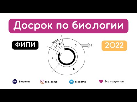 Видео: Что из перечисленного образовано мезодермой гаструлы?