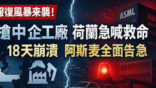 荷兰服软了！大臣对着镜头喊“要和中国对话”，十八天前还抢中资工厂，现在货柜堆港、车企哀嚎