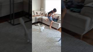Beratı Kovalayan Çılgın Kedi