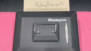 [150] Sentry Safe Opened