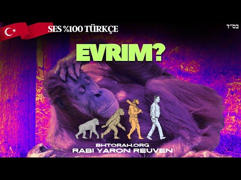 Maymunlardan Geldiğimizi Kim Öğretiyor?