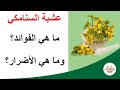 ما هي فوائد واضرار عشبة السنامكي 