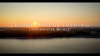 Underwater world Tromøy