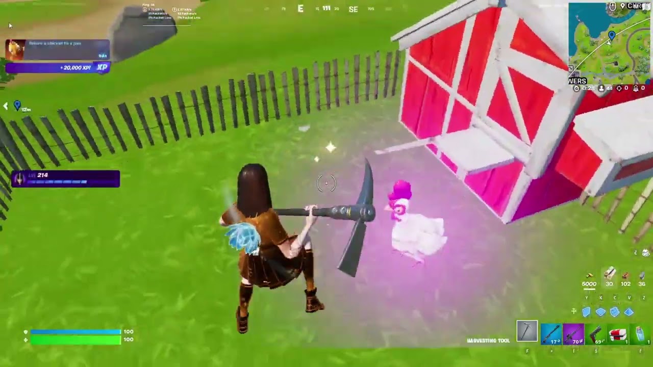 Return a chicken to a pen