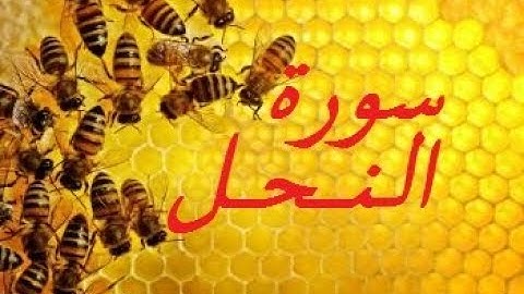 Surah An-Nahl by Salah Bukhatir | سورة النحل بصوت صلاح بو خاطر