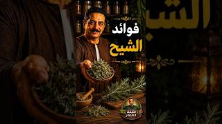 فوائد الشيح #خليفة_العطار #التغطيه #اكسبلور