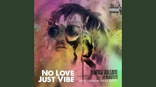 No Love Just Vibe