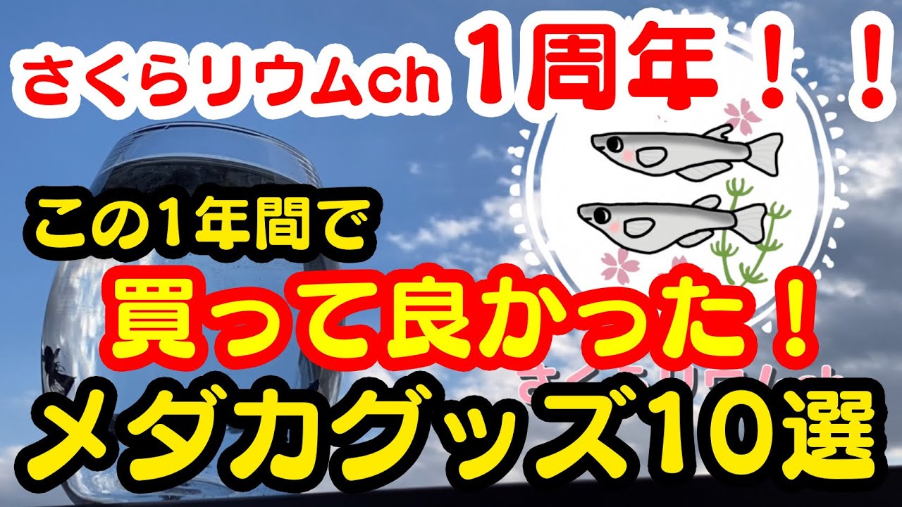 メダカ飼育】買って良かった！おすすめのメダカグッズ10選‬