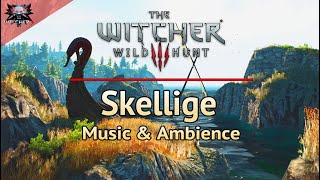 The Witcher 3 | Skellige Day | Emotional and Relaxing Soundtrack \& Ambience