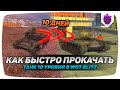 Как за 10 ДНЕЙ прокачаться до 10 УРОВНЯ В WOT BLITZ (вот блиц)