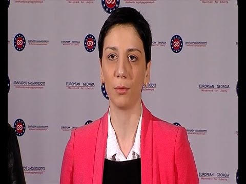 \"ევროპული საქართველოს\" ახალი წევრების წარდგენა