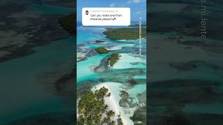 Places in Panama that don’t feel real 🇵🇦🤯 #travel #adventure #explore #nature #panama