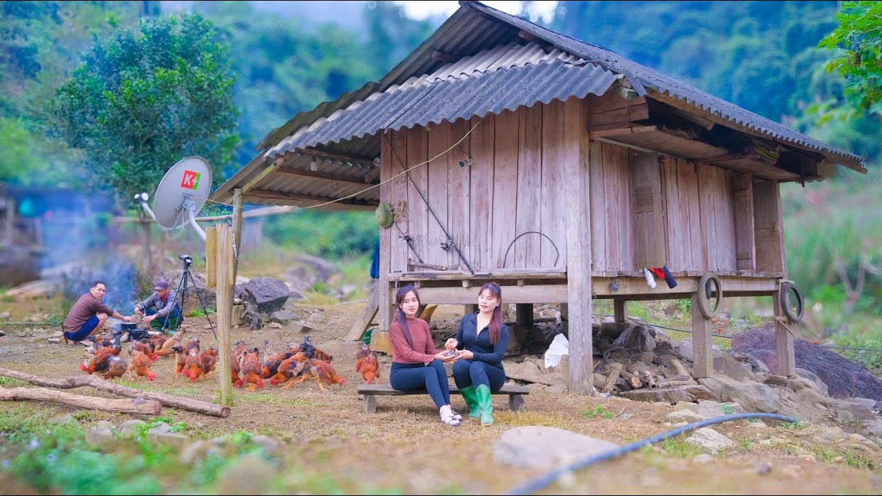 LIVING off The Grid Sustainably! Wood wallpapering, gardening, harvesting and great cooking