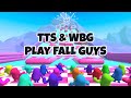 TTS &amp; WBG PLAY FALL GUYS Part 2