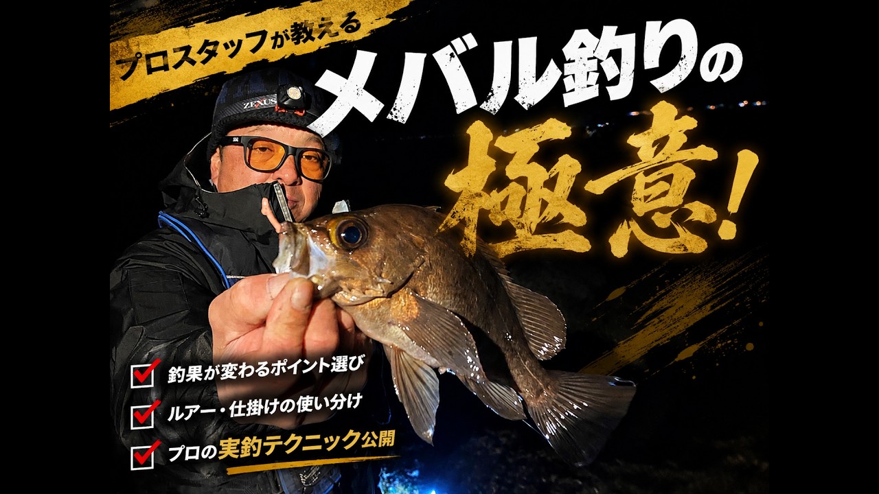 メバリング】メバル爆釣！真冬のライトゲーム【FISHING DOOR】 - YouTube