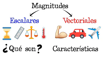 ¿Es la velocidad y la distancia una cantidad vectorial?