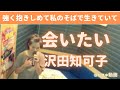🌈沢田知可子/会いたい