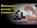 Минимальный размер алиментов