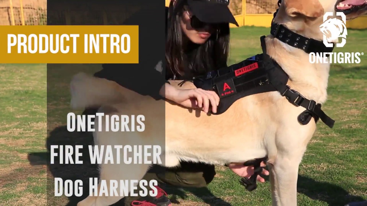 onetigris fire watcher