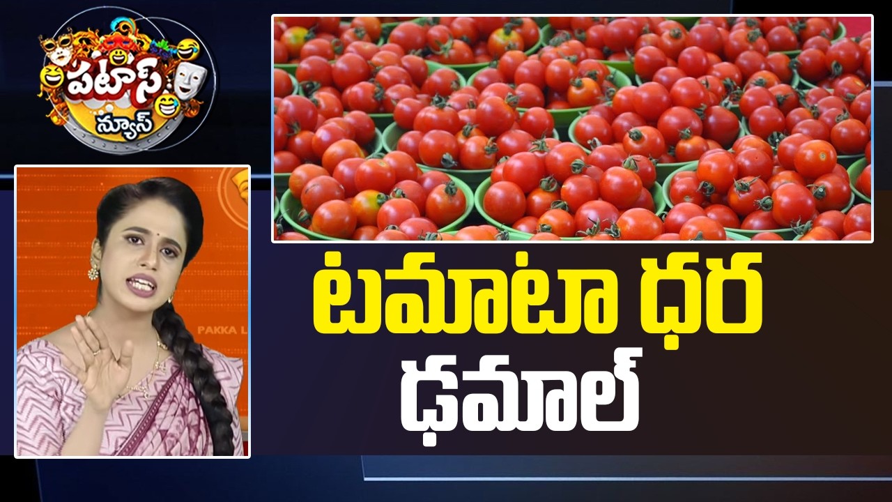 టమాటా ధర ఢమాల్‌ | Tomato Prices Fall Down | Patas News | 10TV News