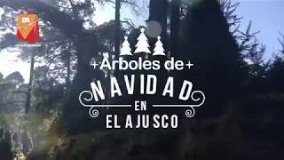 RANCHO LA POZA DEL INDIO AJUSCO NAVIDAD