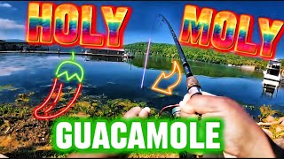 FISHING Below a HAUNTED DAM‼️😱 Hales Bar Marina (Guild Tennessee)