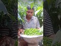 হাইব্রিড সুপার হট মরিচ – মাত্র ৭৭ দিনে ১ মন প্লাস মরিচ উত্তোলন