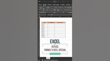 Excel Format Spécial | Numéro De  Téléphone & Sécurité Sociale