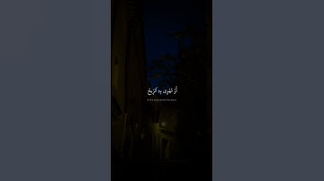 وَمَن يُشۡرِكۡ بِٱللَّهِ فَكَأَنَّمَا خَرَّ مِنَ ٱلسَّمَآءِ | سورة الحج | محمد صديق المنشاوي