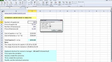 Excel 2010 Editing variables in scenarios