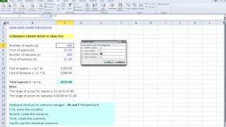 Excel 2010 Editing variables in scenarios
