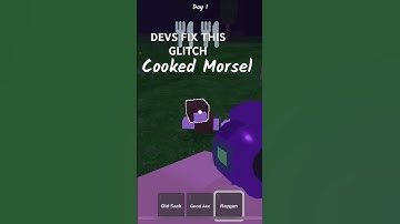 Devs please fix this glitch!