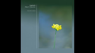 Aspetuck - The Week Is Ours