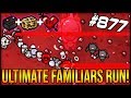 ULTIMATE FAMILIARS RUN! - The Binding Of Isaac: Afterbirth+ #877