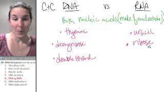 DNA 5- DNA vs RNA