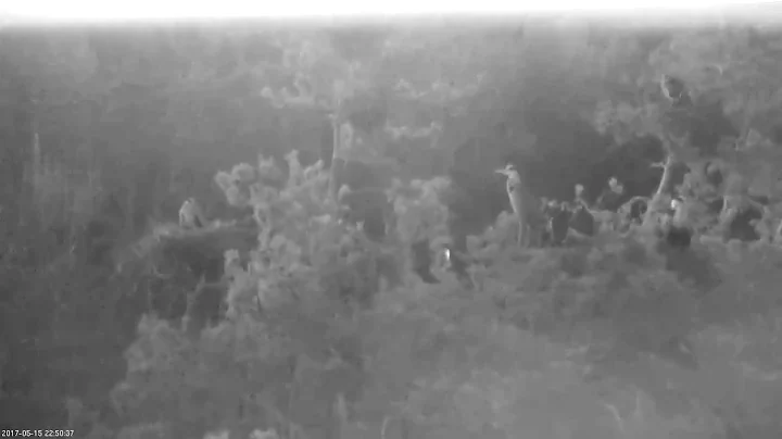 2017 05 15 22h50m H5 parent leave