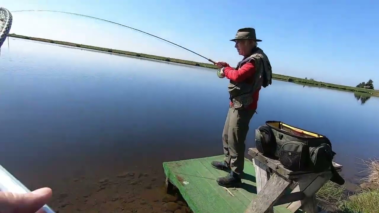 Woodburn 20th May 2025.